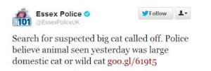 Twitter Essex Lion police tweet