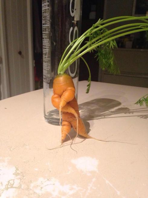 Hip hop carrot